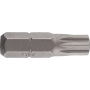 Cobit Bit wieloząbkowy standard - XZN M5 - 25mm - C6,3 - 1/4